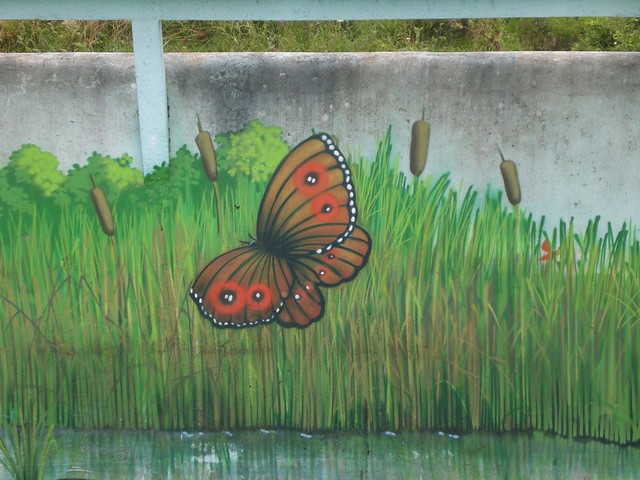 Papillon  peint autour du bassin de retenue