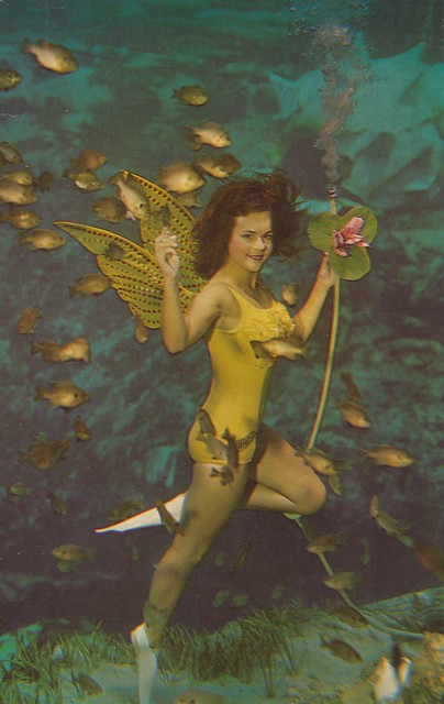 A Beautiful Mermaid - Weeki Wachee, Florida