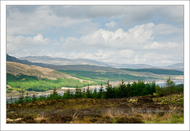 View on Loch Loyne