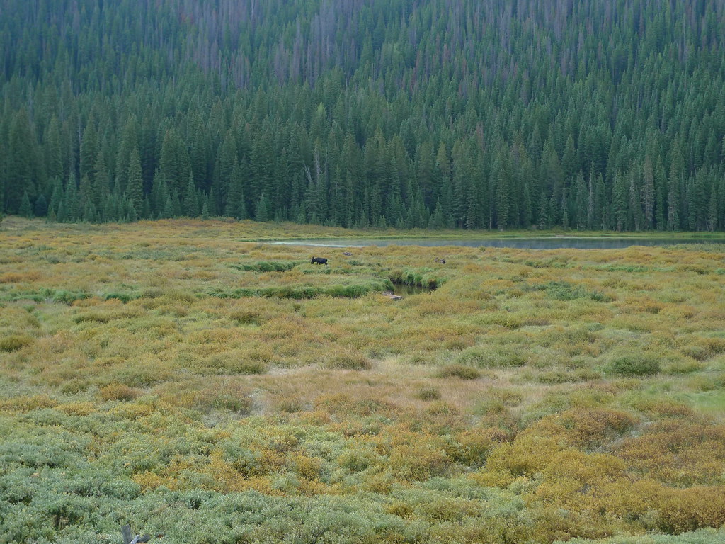 Lost Lake