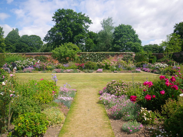 Peonies and Pinks in Mottisfont Abbey Gardens