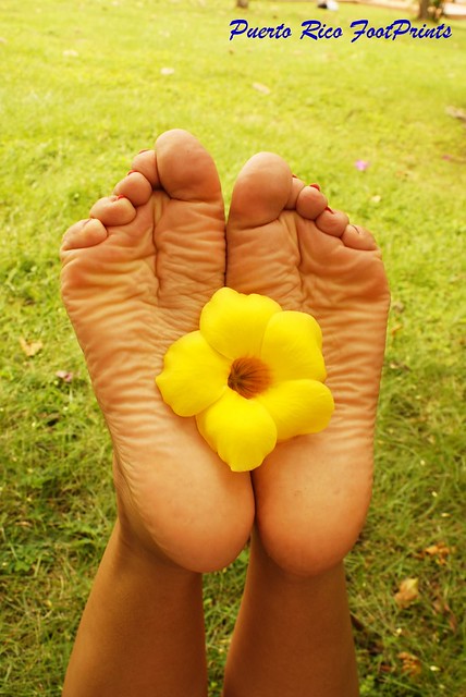 Flower Feet