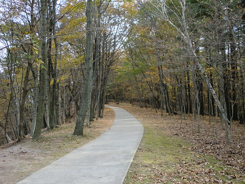 autumn trail pikespeak