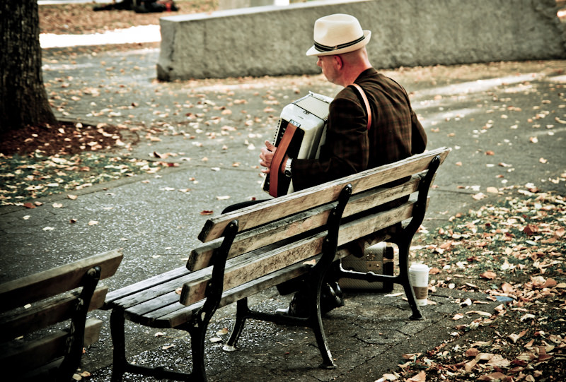 Accordian on the Park Bench