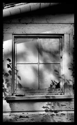 window blackwhite alabama brantley