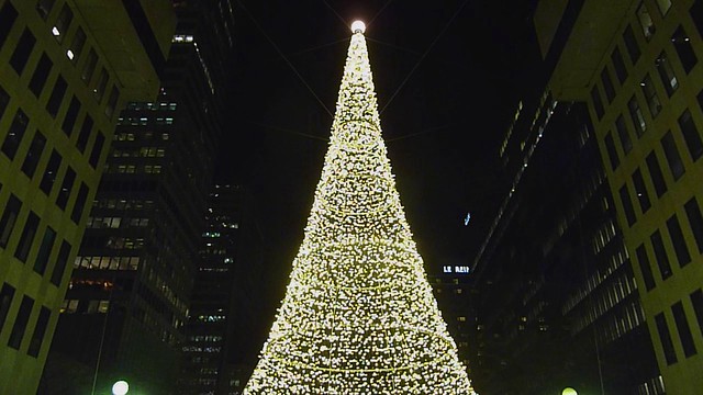 Tallest Outdoor Christmas Tree In Montreal VIDEO Christmas 2010 (3)