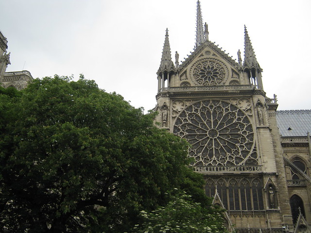 Notre Dame rose window with tree