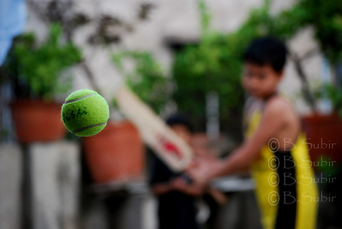 Cricket........Explored......... by subirbasak