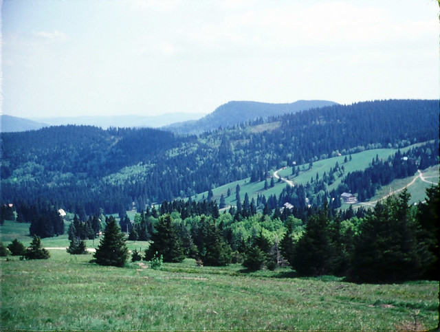 Black Forest View 2