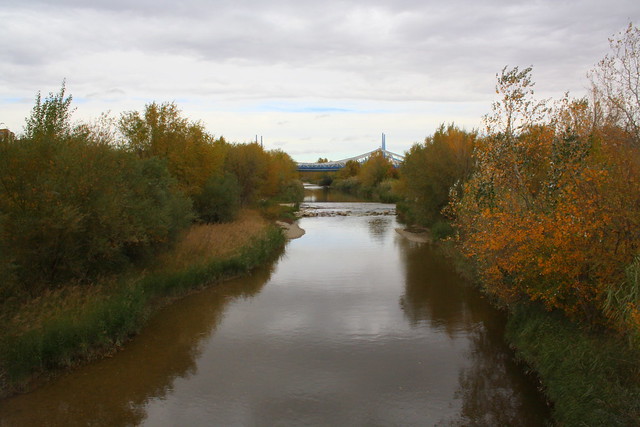 Otoño en el  río Gállego (Zaragoza)