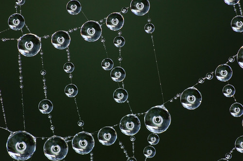 Web 6 | by Anthony. Vaughan