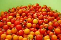 Cherry Tomatoes