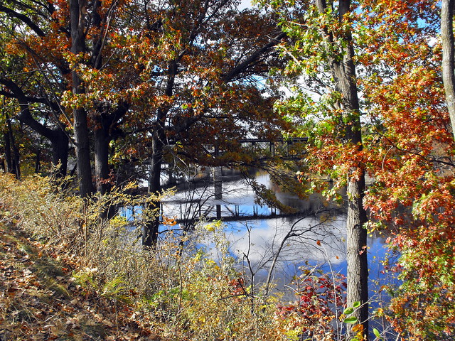 View Of The Wisconsin Dells Bridge Through The Trees As Seen On The River Walk.