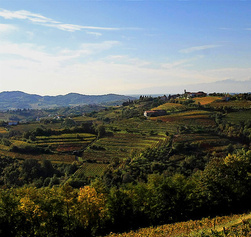 Il Collio a San Floriano | paolo longo | Flickr