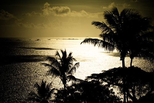 ocean sea naturaleza sunlight nature water silhouette clouds contraluz palms mar agua warm view puertorico resort palmtrees nubes vista caribbean tgif fajardo horizonte palmas elconquistador spellshot