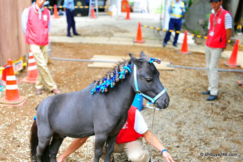 This was a special show put on for the children, which they all seemed to enjoy