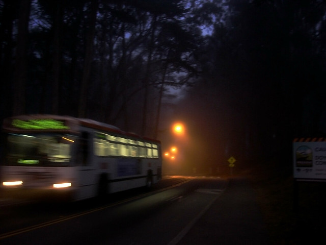 muni bus driving through morning fog in the presidio, san francisco (2010)