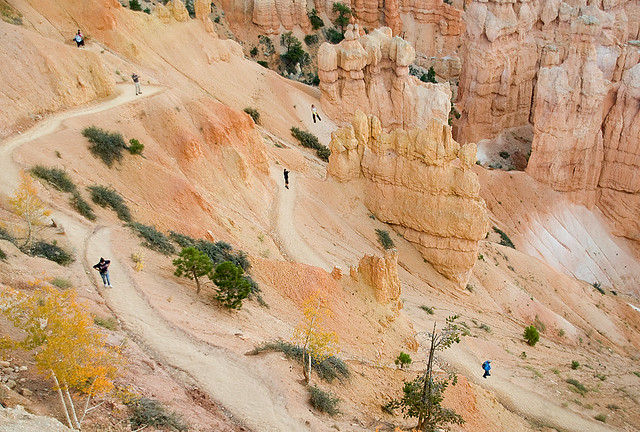 Bryce Canyon Navajo Track