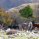 Picture of the hike