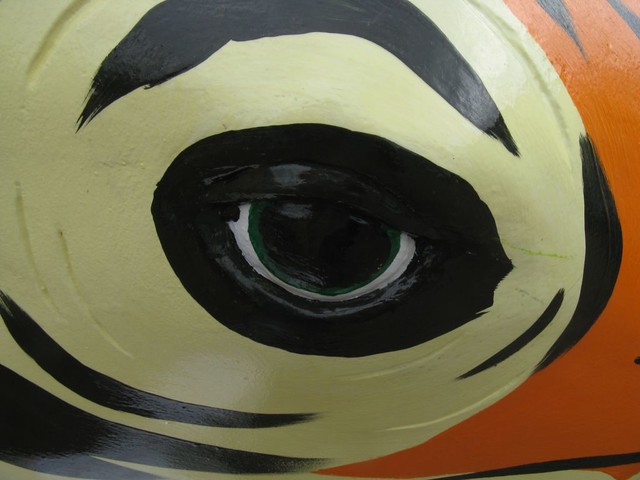 Tino eye detail