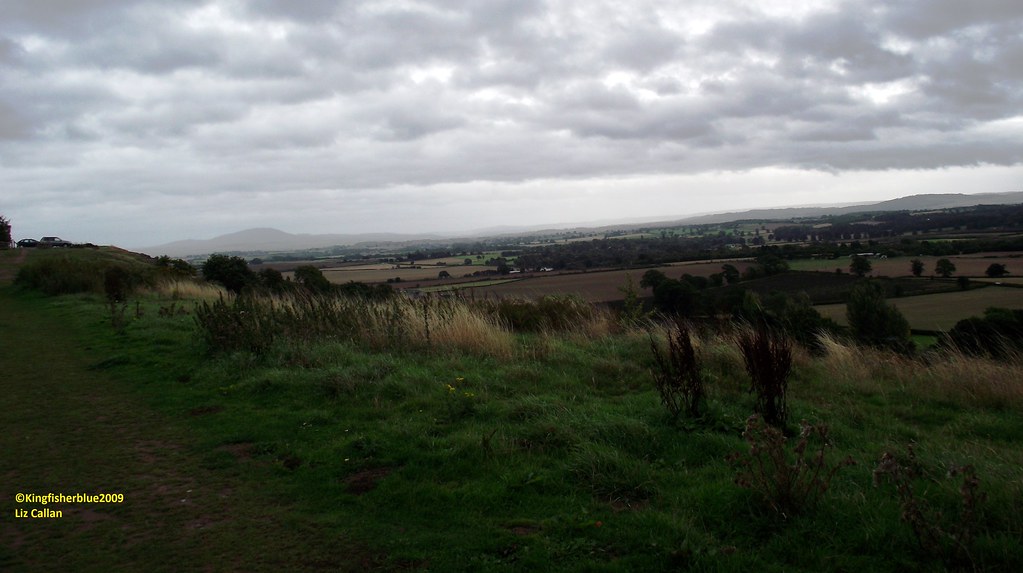 Lyth Hill Country park Shropshire 130910 | Flickr