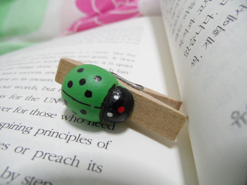 Ladybug | by dica_photographer