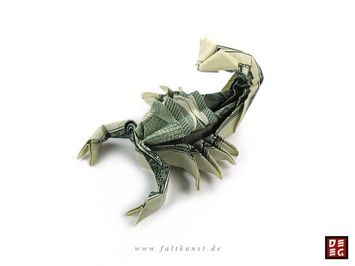 Dollar Bill Scorpion