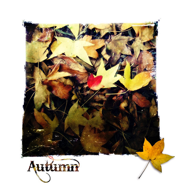 * Autumn *