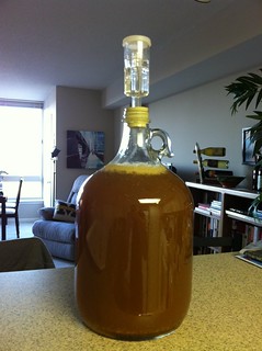 Brewing Apfelwein | This should be ready in about 4 weeks, a… | Flickr