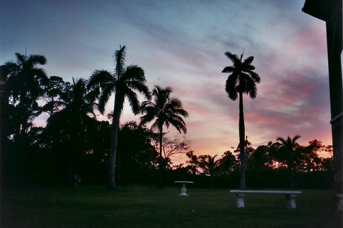 sunset bahamas freeport grandbahamaisland royaloasis