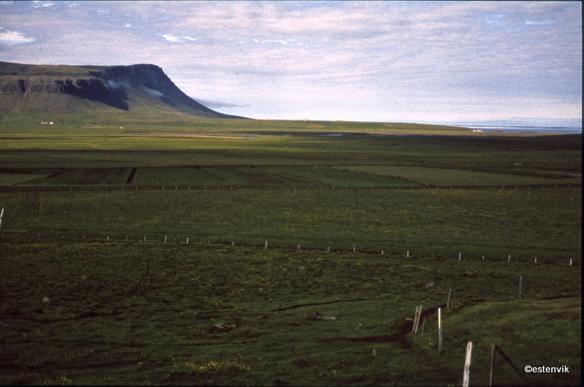 Jordbruksland/Farmland, Iceland 1981