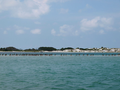 Shell Island | by Jaimie_Lynn