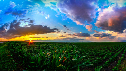 sunset clouds cloudsstormssunsetssunrises centralillinois mcleancounty country countryroads cornfield colors sky