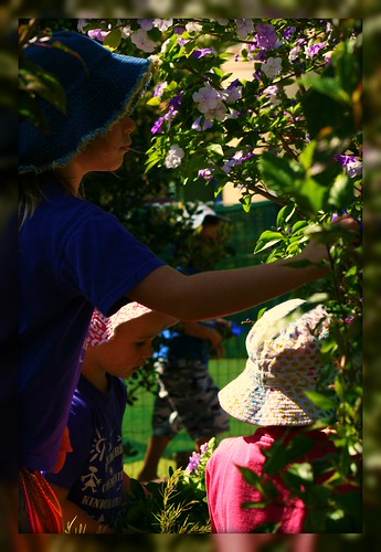 Friends Working as a Team collecting flowers for the morning tea table | by Ann's Pix getting out of rut