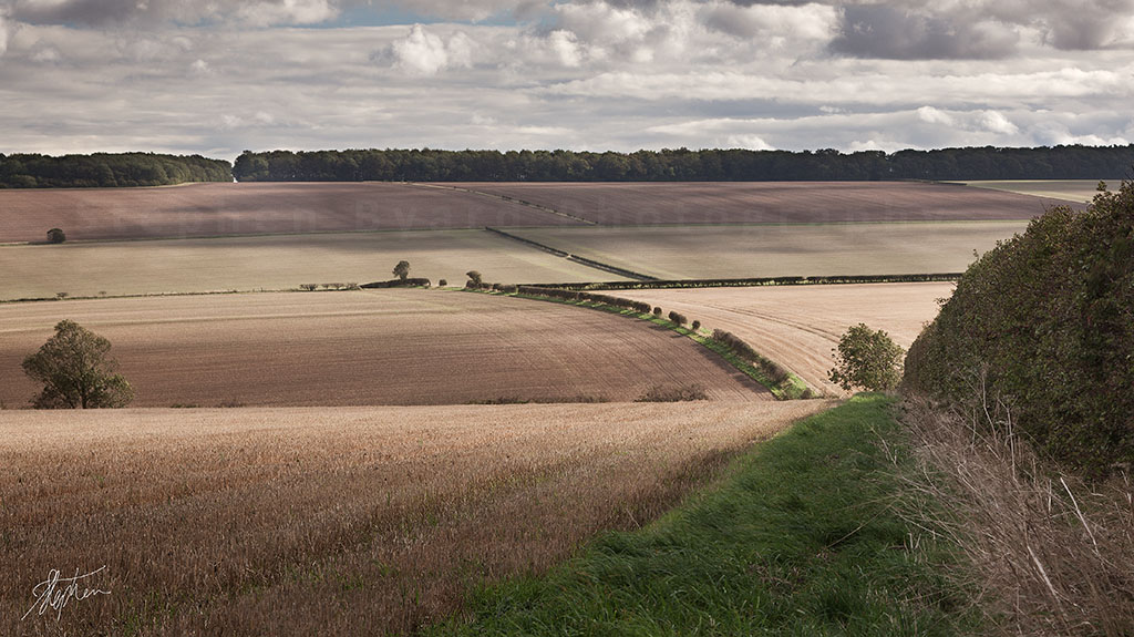 Wolds View by Pixelda