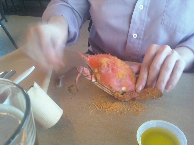 Kyra breaking into the all you can eat Blue Crabs