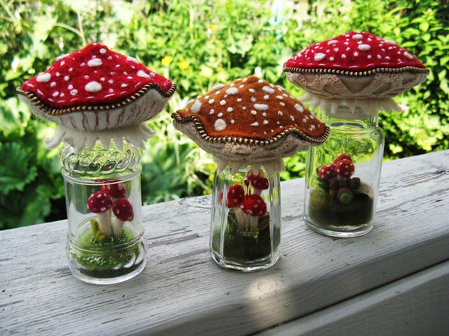 Yesterday's terrarium mushroom pincushions