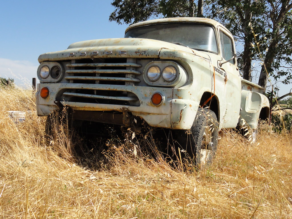 1958 Dodge truck.02 | I spotted this truck in a field adjaceâ€¦ | Flickr