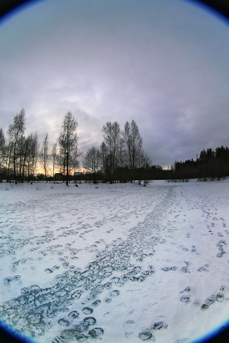 winter lake nature countryside fisheye belarus icylake canoneos30d belomomc835 vygonichy