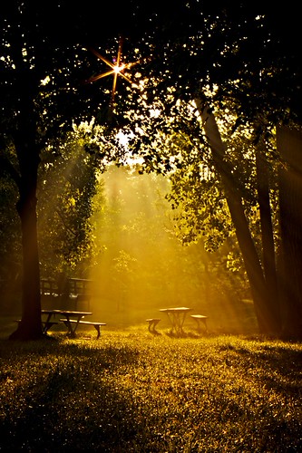 The blessed bench | by . : : v i S H a l : : .