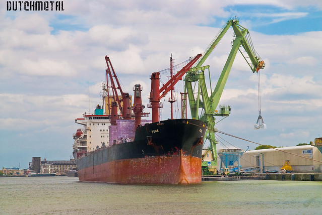 Unloading in the Port of Antwerp