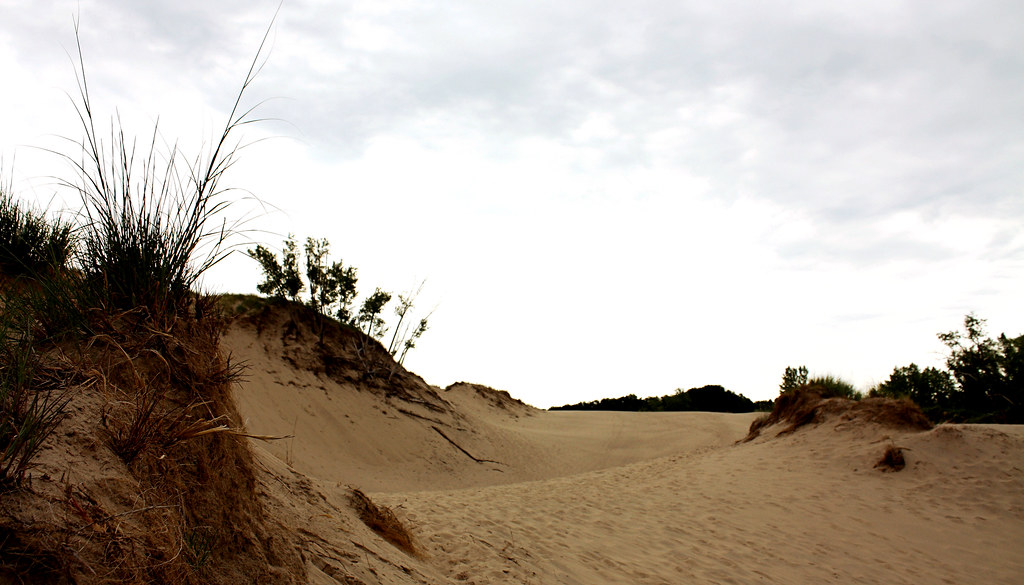 Warren Dunes State Park