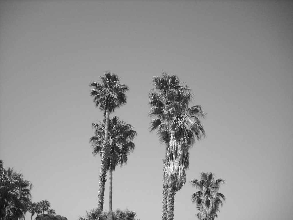 Santa Barbara | Patricia | Flickr