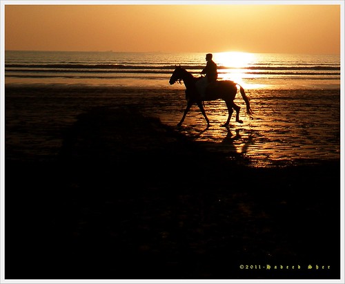karachi equestrian horseriding cliftonbeach pakistanbeach mygearandme mygearandmepremium seaviewpoint silloheutee gettyimagesmiddleeast