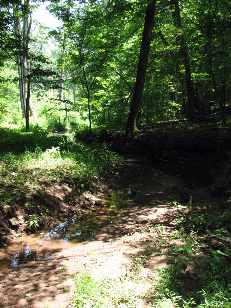 Fox Trail