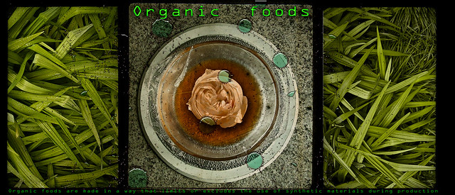 Health and the organic foods discussion