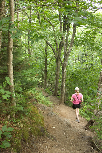 trees sarah vermont unitedstates hiking trail lincoln 365 5star