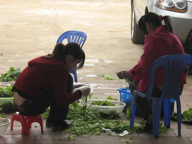 Preparing vegetables in front of a roadhouse north of Hanoi, April 2010