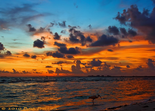sunset sky gulfofmexico clouds florida ibis fortmyersbeach