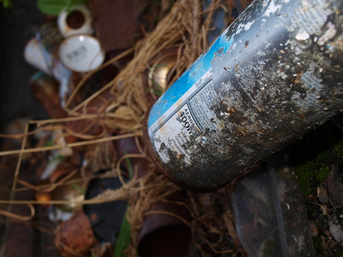 OLYMPUS DIGITAL CAMERA | rotten! | opsternaat! | Flickr